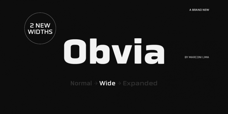 tracking: {
            'Country Code': 'US',
            'Language Code': 'EN-US',
            'Email Hash': 'unknown',
            'Vendor User Id': 'unknown',
            'Vendor Id': 'unknown',
            'Customer Type': '',
            'Offer Code font preview